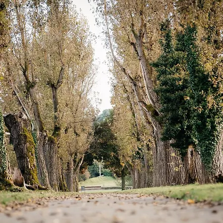 Lamiacasa Terrace Near Center Stoccarda