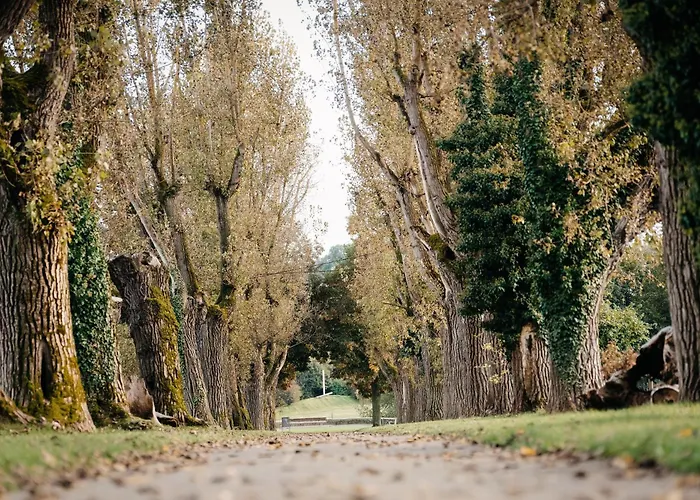 Lamiacasa Terrace Near Center Stuttgart